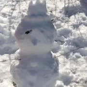 ゆきのこの画像