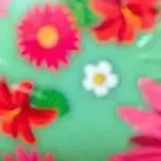 みぃの画像