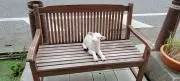 き