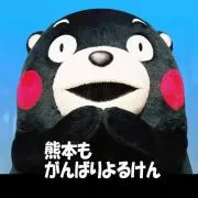 SLC43の画像