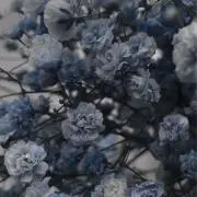 ナオ(プロフ必読)の画像