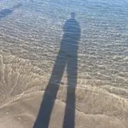 ジョージの画像