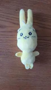ちょちょの画像