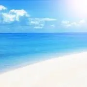 しーの画像