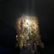 らの画像