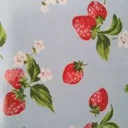 ベリーの画像