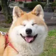 梛月☆プロフ必読☆の画像
