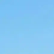 くま