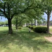 CORIKANの画像