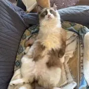 なおの画像