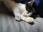 きのきのぴの画像
