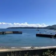 S.Tの画像