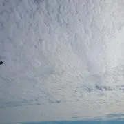 まさきちの画像