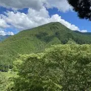 しゅんすけの画像
