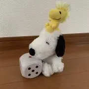 モコの画像