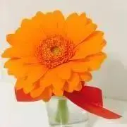 オシバナの画像