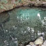 しょうゆ