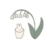 ももの画像