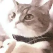 ピーちゃん