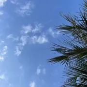 炭酸苦手わっしょいの画像