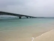 ぷりん。の画像