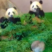 断捨離中！