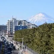 Yoshiの画像