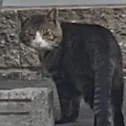 織田三郎
