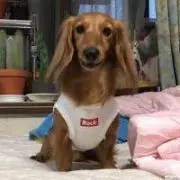 北口美和