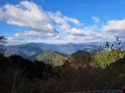 新世界の画像