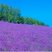 ♪♪♪の画像