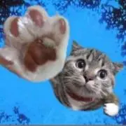 いずみ