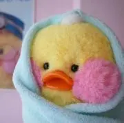 らんの画像