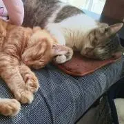 なっちゃんママ