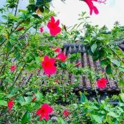 botanical