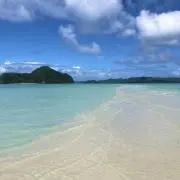kohakuの画像
