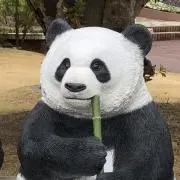 mizueの画像