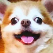 Rinさんの画像