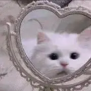 ホチ