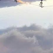 rhinoの画像