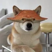 na-naの画像