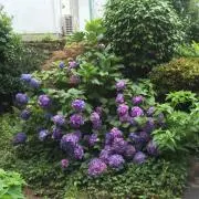ベートームス