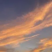 山田の画像