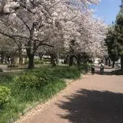 ぽたの画像