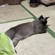 ミノの画像