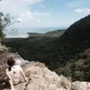 くまここの画像