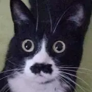 そらまめ