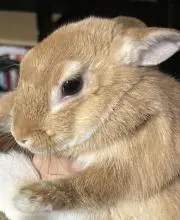 プロフ必読！の画像