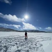 nozoの画像
