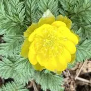 toco0702の画像